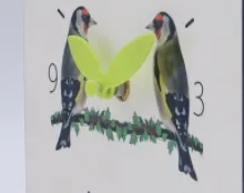 info-220-174 info-220-174